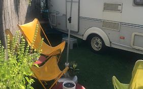 Gardencaravan Near Ghent In Green Area