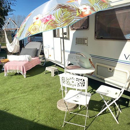 Gardencaravan Near Ghent In Green Area Exterior foto
